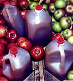 Gallons of Apple Cider