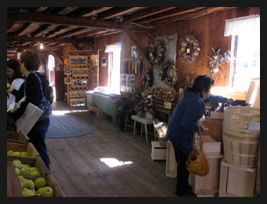 The Retail Store at the Apple Farm in Fairfield, Maine
